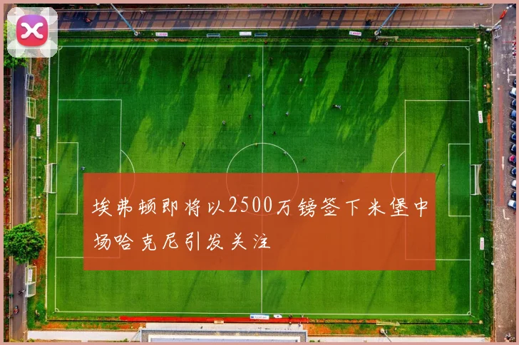 埃弗顿即将以2500万镑签下米堡中场哈克尼引发关注